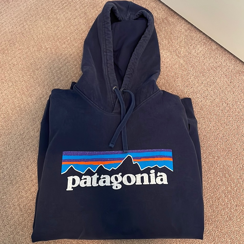 Patagonia Hoodie